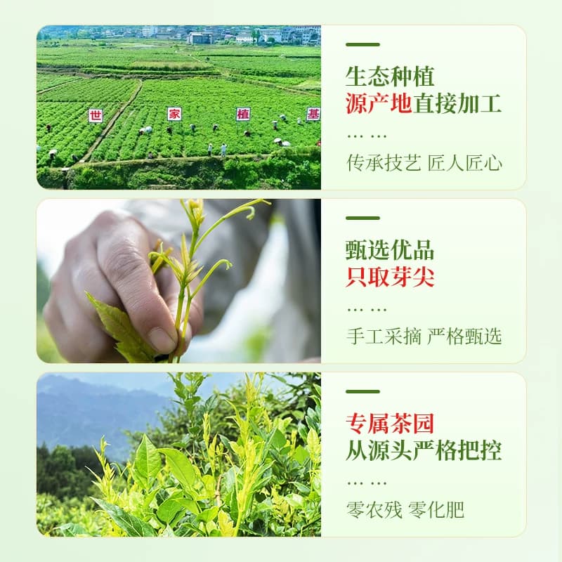 茶马世家茶叶恩施来凤藤茶龙须嫩芽尖莓茶土家富硒养生茶自己喝,详情图 3