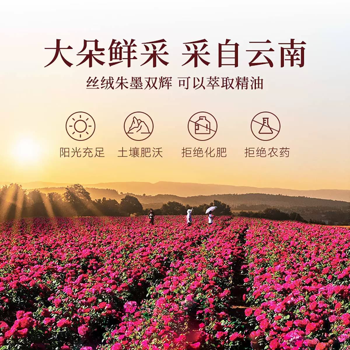 贡苑花茶叶绿色食品平阴玫瑰花茶玫瑰花冠墨红玫瑰花金边玫瑰花茶,详情图 6