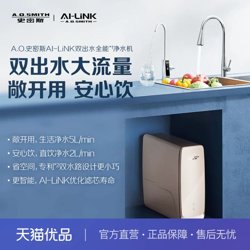 A.O.史密斯净水器家用直饮机反渗透双出水R2000DWWi