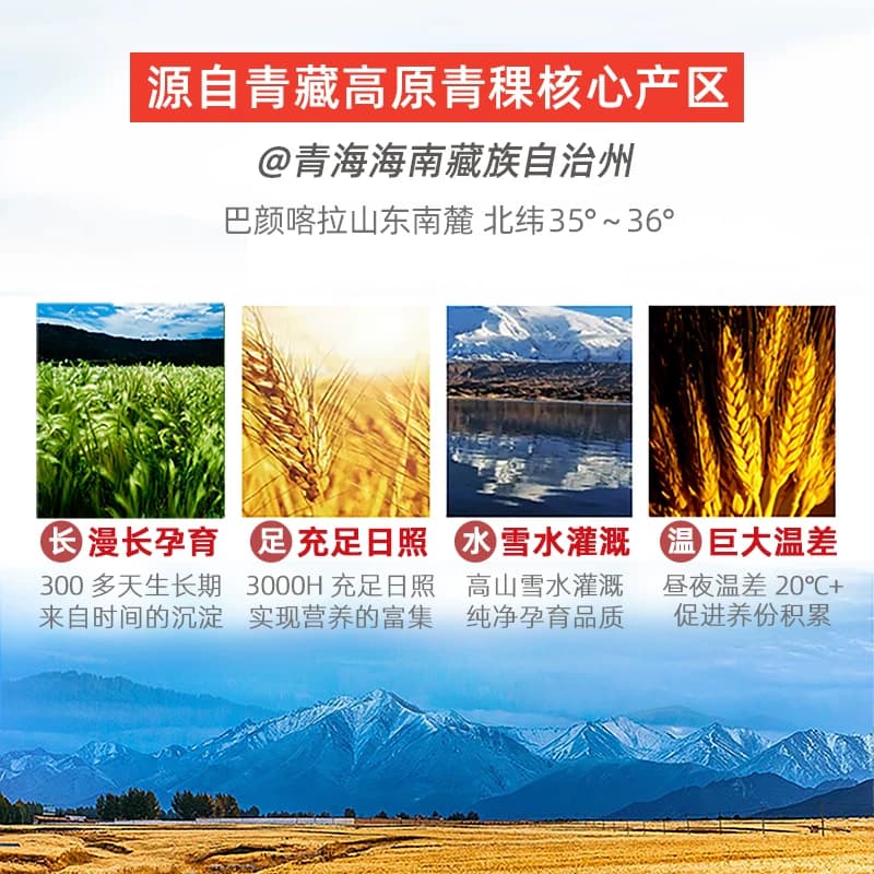 巴颜喀拉青海黑青稞全麦粉高纤维低脂粗粮面粉缓升糖友主食多用粉,详情图 6