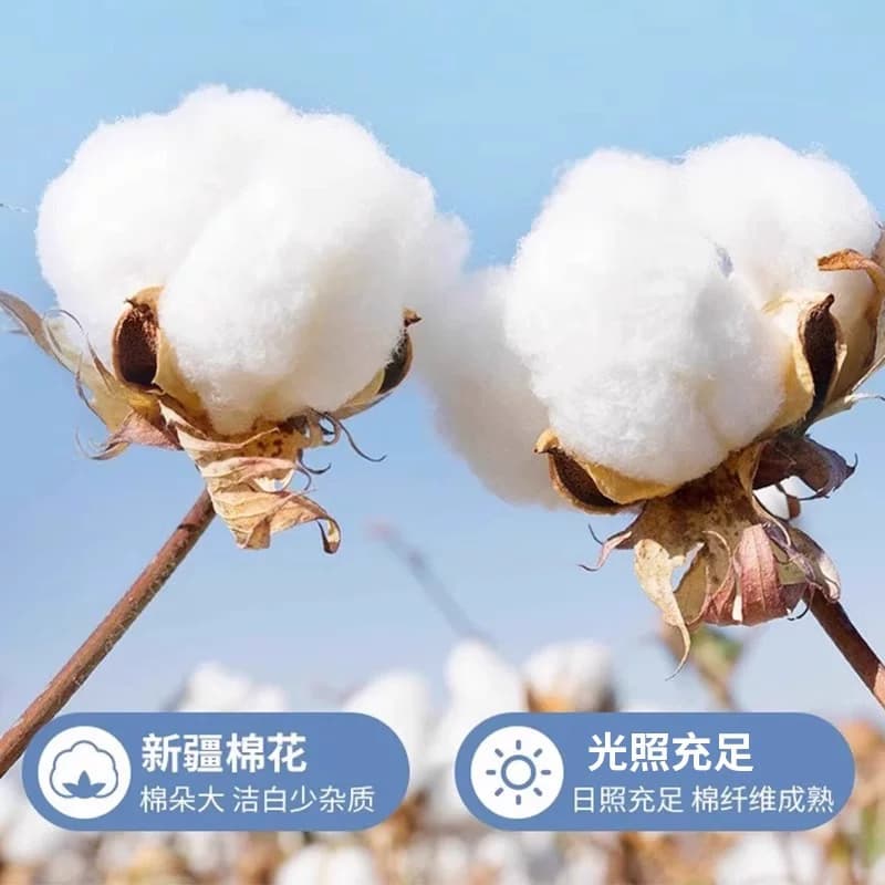 无印良品四件套纯棉全棉床单被套2025新款床笠被罩床上用品三件套,详情图 4