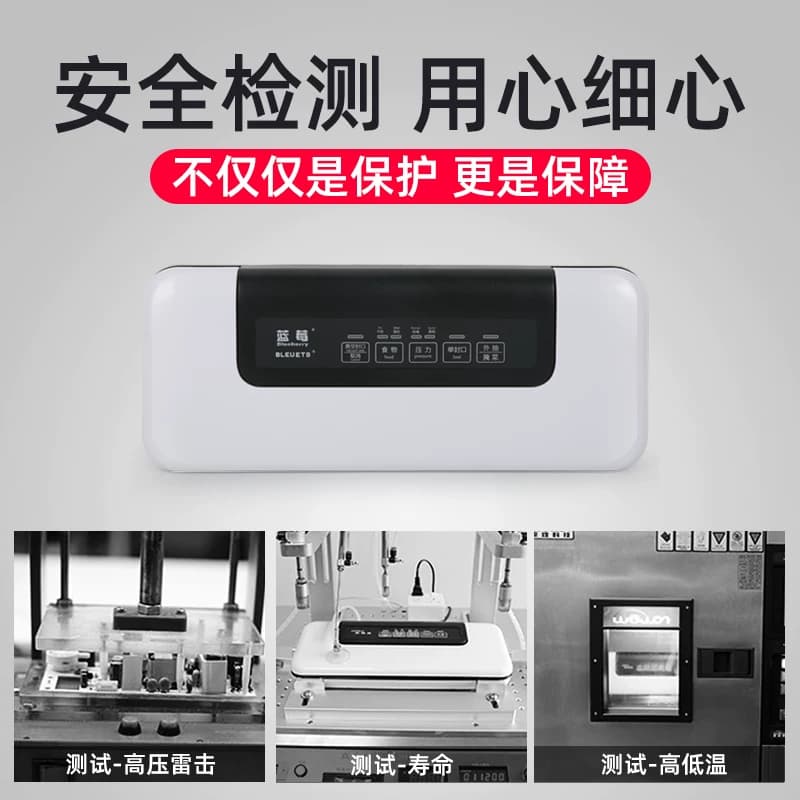 蓝莓牌真空机商用全自动真空包装机家用封口机食品塑料袋包装机真空封口机商用塑封机大米真空米砖包装机W300,详情图 3