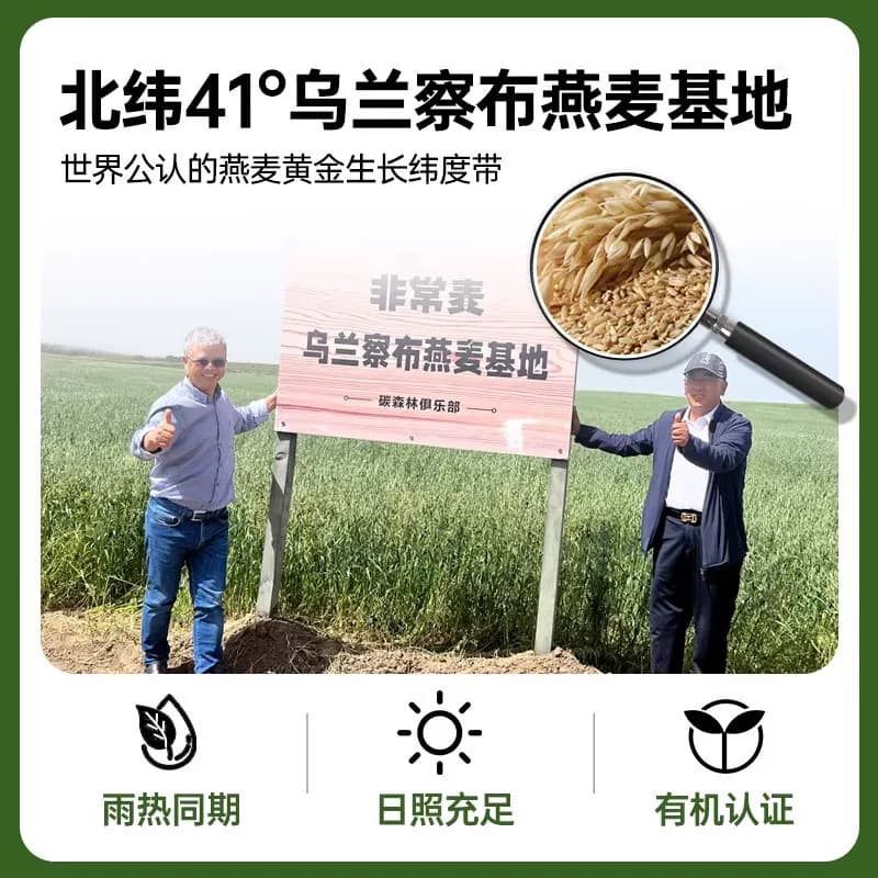 非常麦有机燕麦奶0添加蔗糖植物基0胆固醇燕麦早餐奶,详情图 4