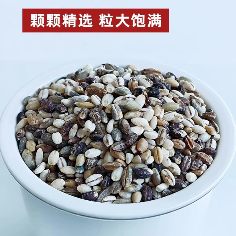 巴颜喀拉藏地精选三色青稞米缓升糖五谷杂粮糖友主食健康粗粮糙米,详情图 3