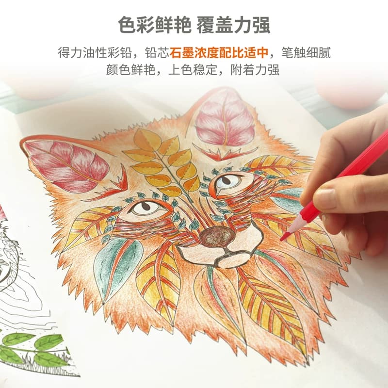 得力彩色铅笔彩铅笔小学生专用一年级美术生画画工具可擦油性水溶性绘画笔48色24色幼儿园儿童彩色画笔,详情图 5